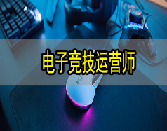 電子競技運(yùn)營師