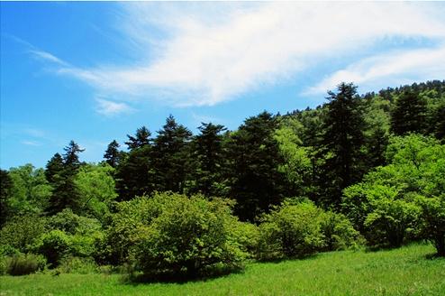 邢臺(tái)沙河市綜合職教中心現(xiàn)代林業(yè)技術(shù)怎么樣？